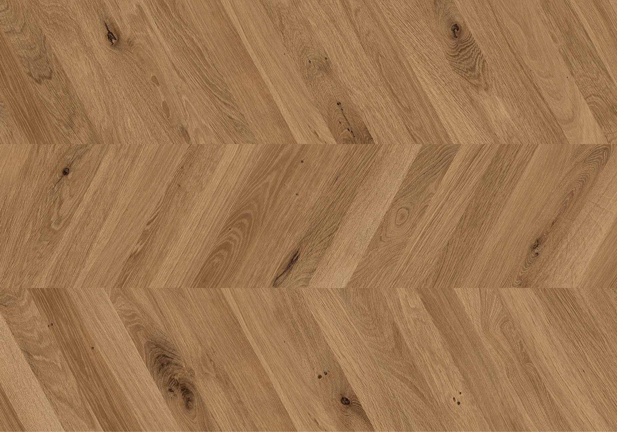 Chevron Kaya Oak Wellington | Roma Tile NY