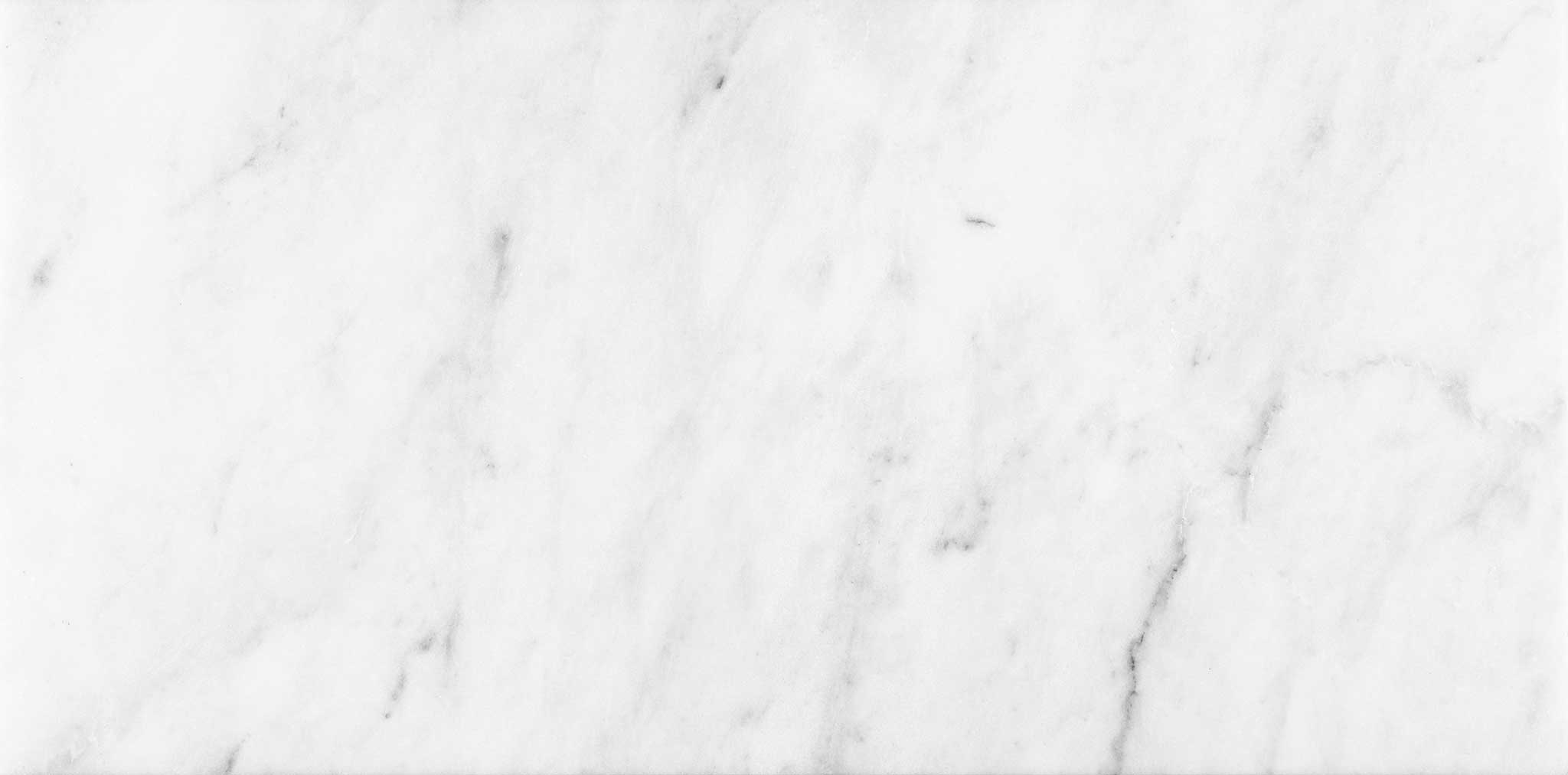 Bianco Venatino 12x24 Polished | Roma Tile NY
