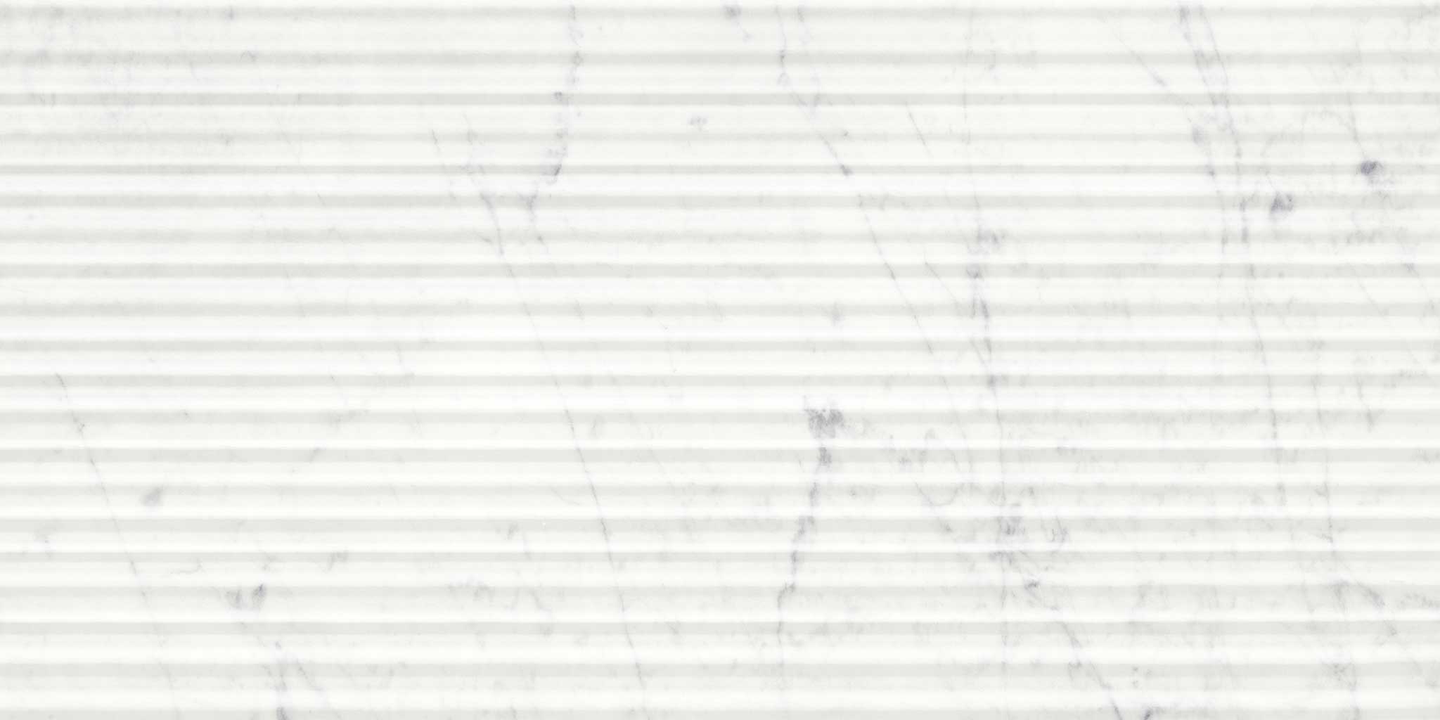 Eterna Bianco 12x24 Honed Curva | Roma Tile NY