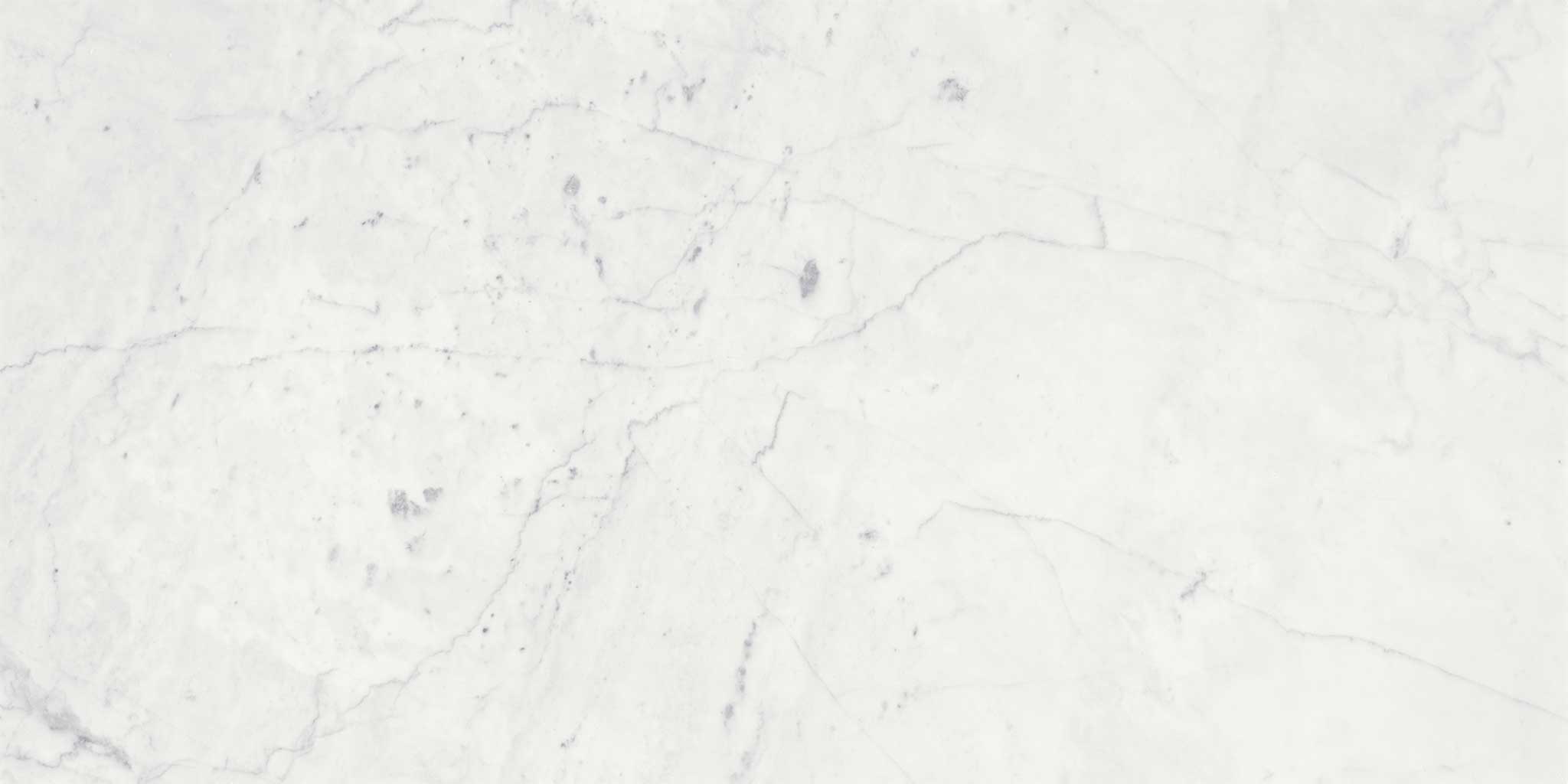 Eterna Bianco 18x36 Honed | Roma Tile NY