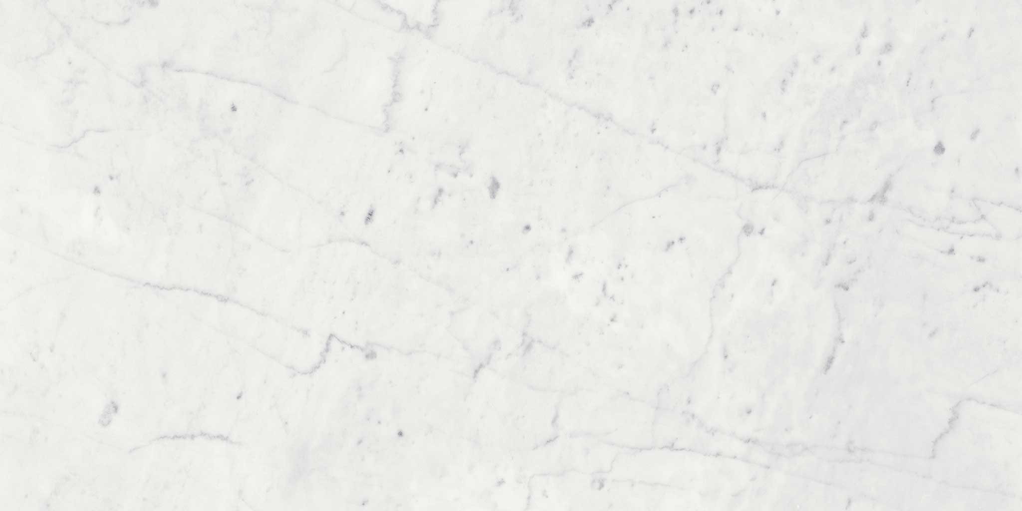 Eterna Bianco 24x24 Honed | Roma Tile NY