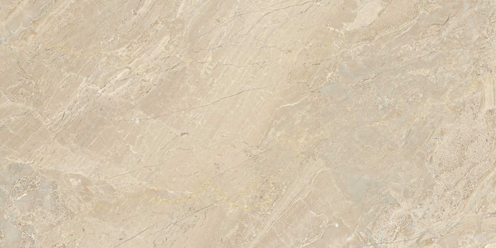 Impero Reale 12x24 Polished | Roma Tile NY