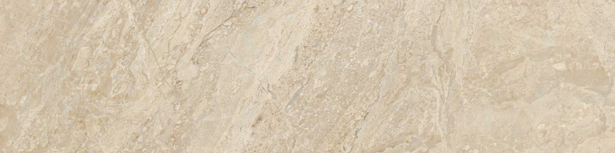 Impero Reale 3x12 Polished | Roma Tile NY