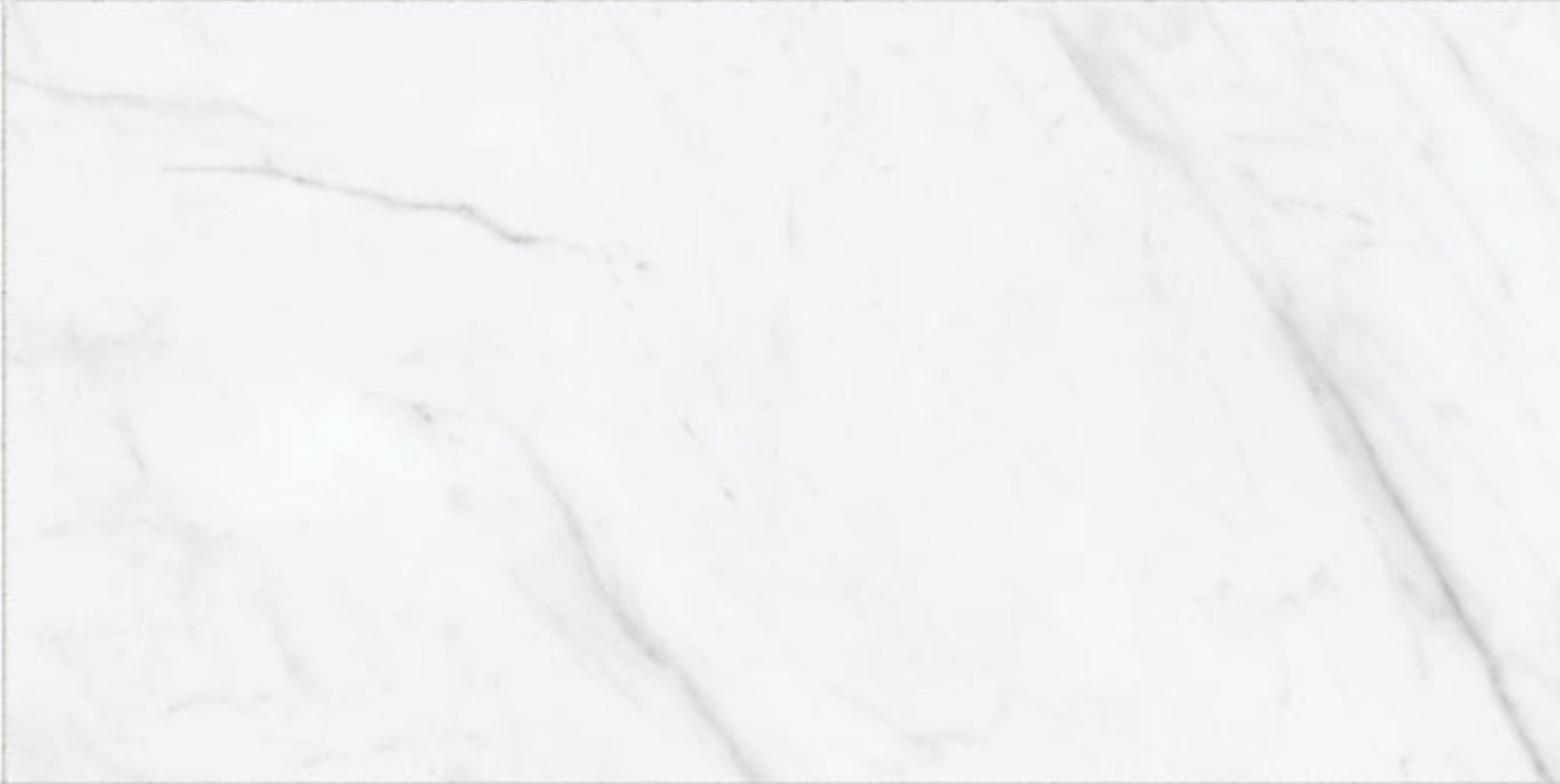 Altezza 12x24 Carrara | Roma Tile NY