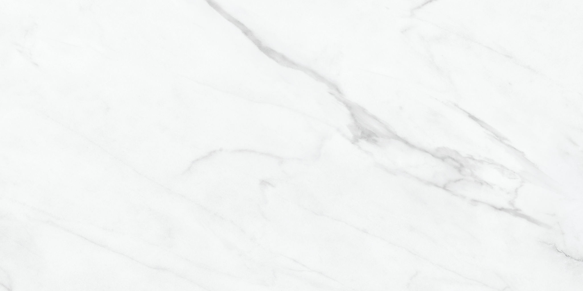 Altezza 12x24 Carrara | Roma Tile NY