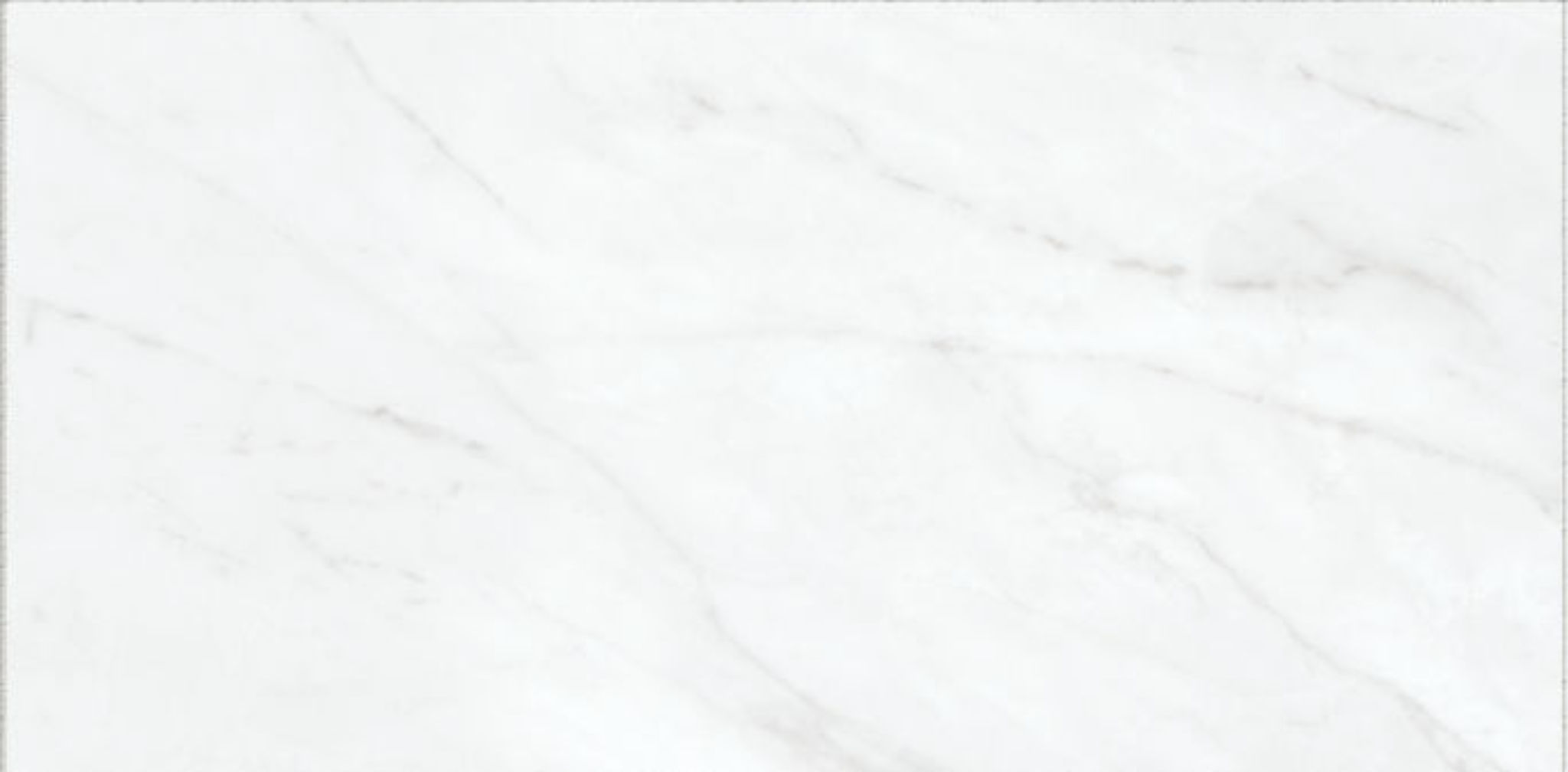 Altezza 12x24 Carrara | Roma Tile NY