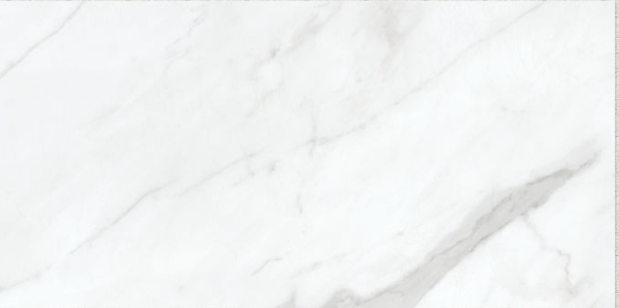 Altezza 12x24 Carrara | Roma Tile NY