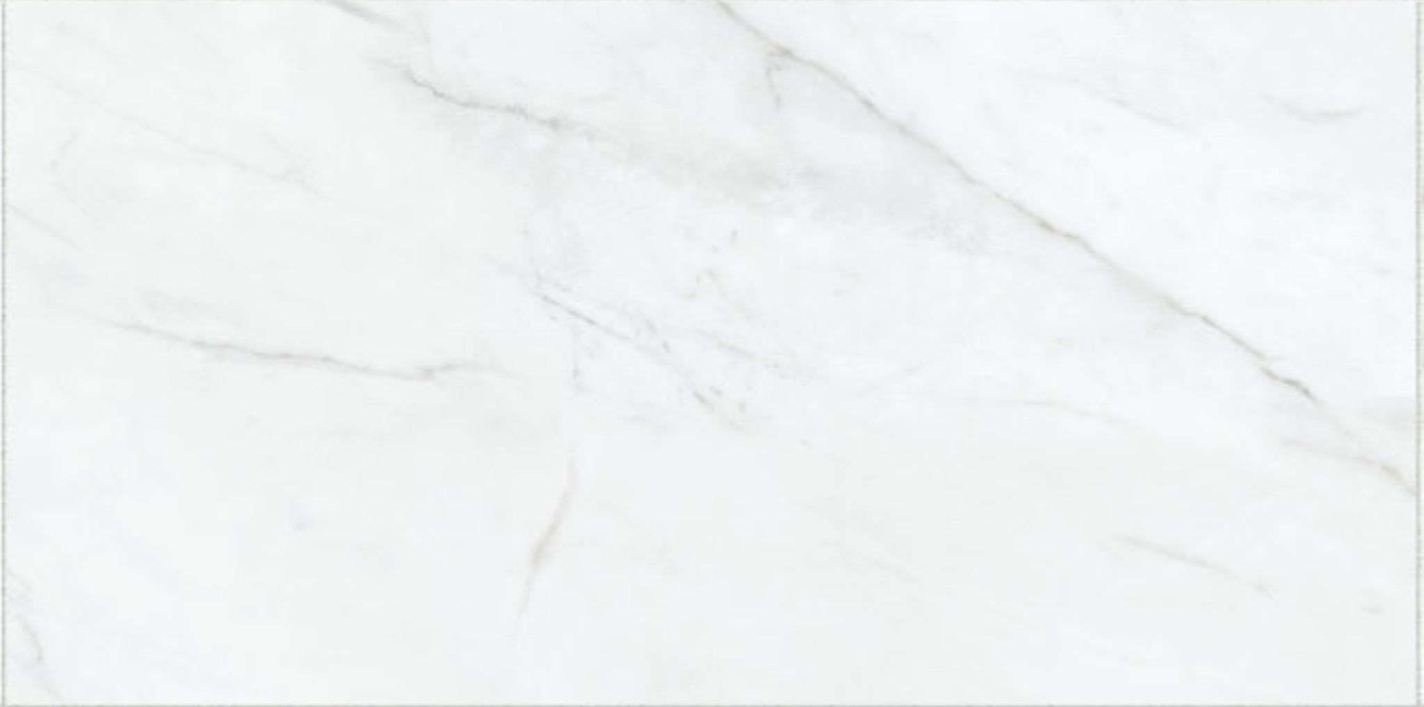 Altezza 12x24 Carrara | Roma Tile NY