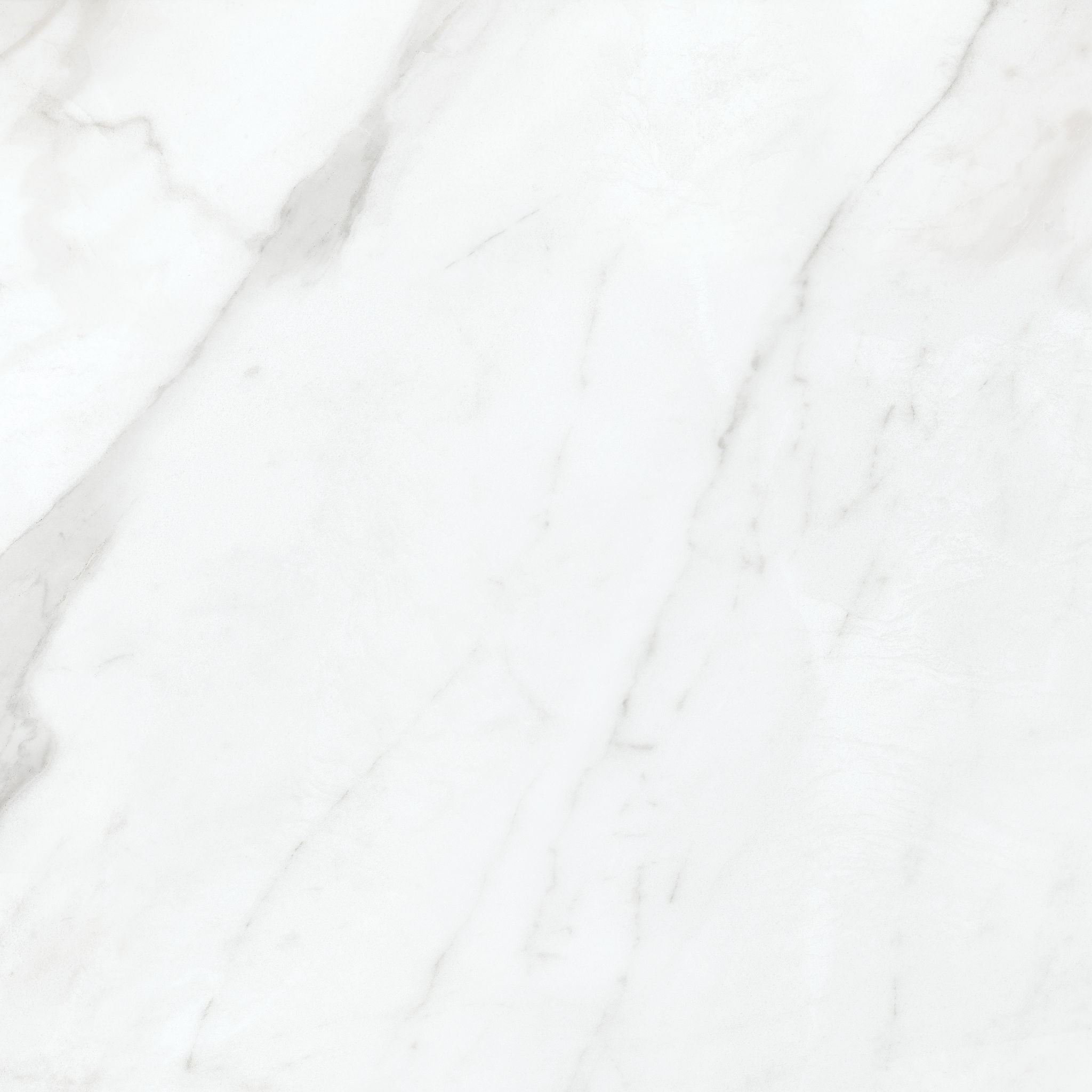 Altezza 20x20 Carrara | Roma Tile NY