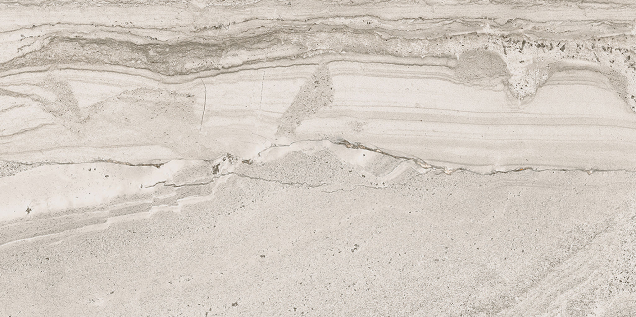 Arcadia 12X24F Ferrara Matte | Roma Tile NY