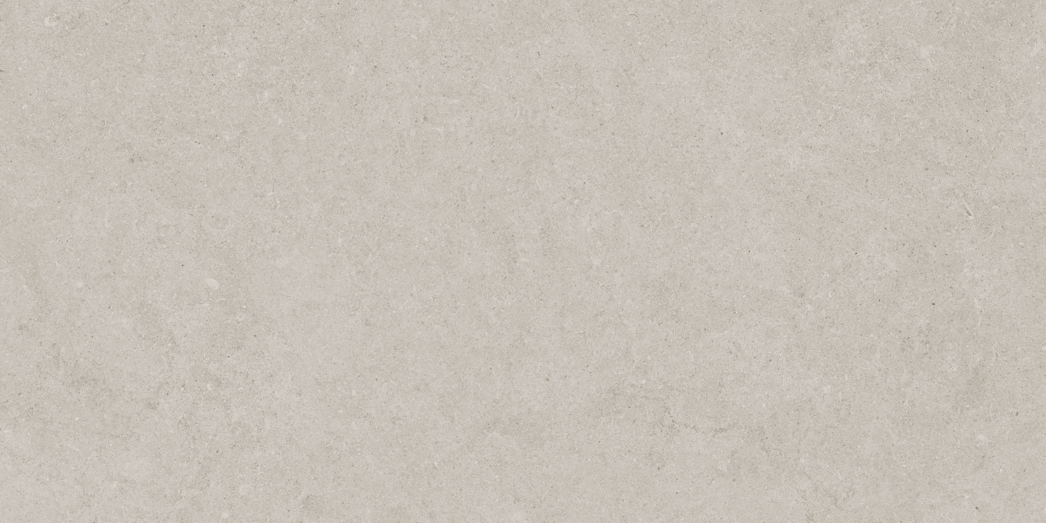 Lithoform 12X24 Crosscut Coast | Roma Tile NY