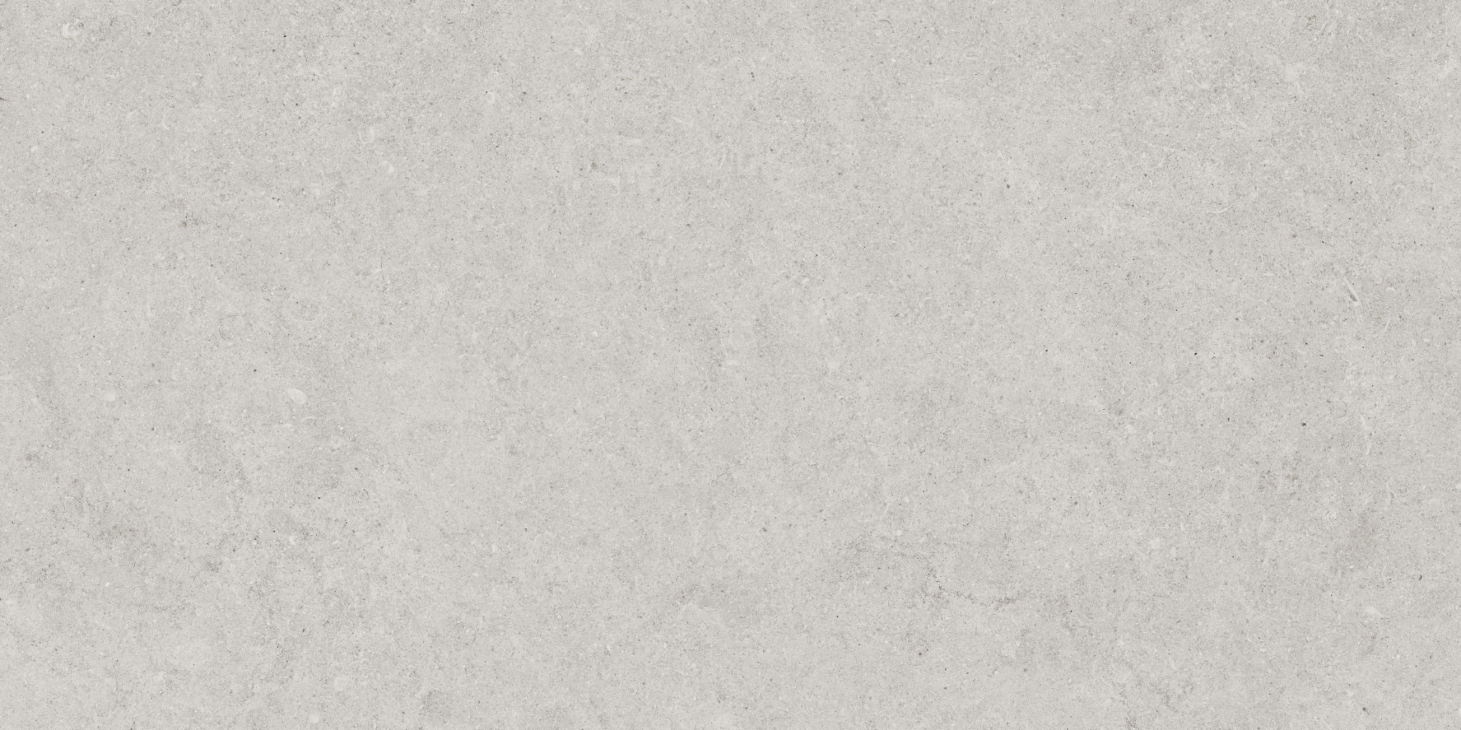Lithoform 12X24 Crosscut Vista | Roma Tile NY