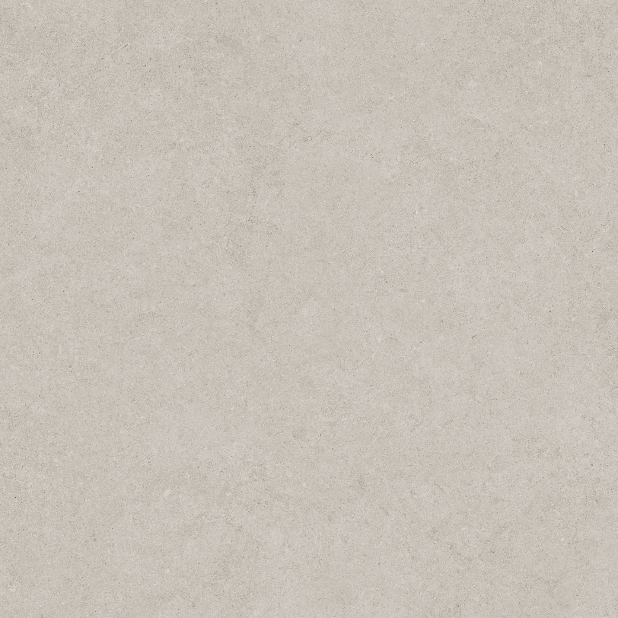 Lithoform 24X24 Crosscut Coast | Roma Tile NY