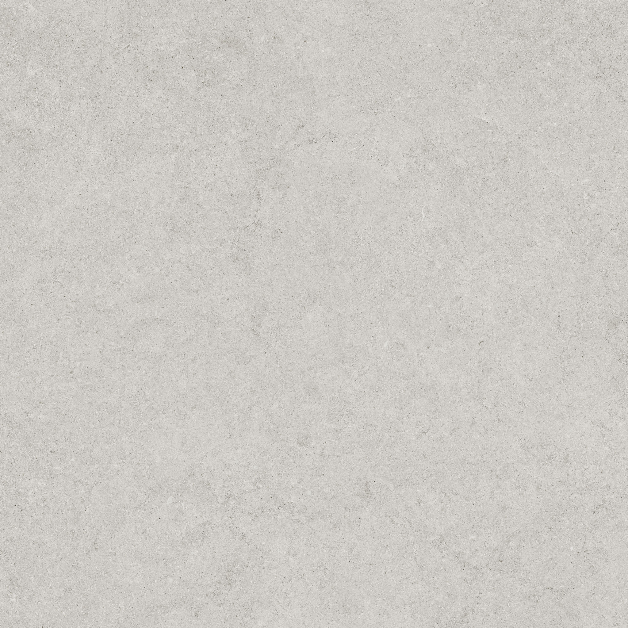 Lithoform 24X24 Crosscut Vista | Roma Tile NY
