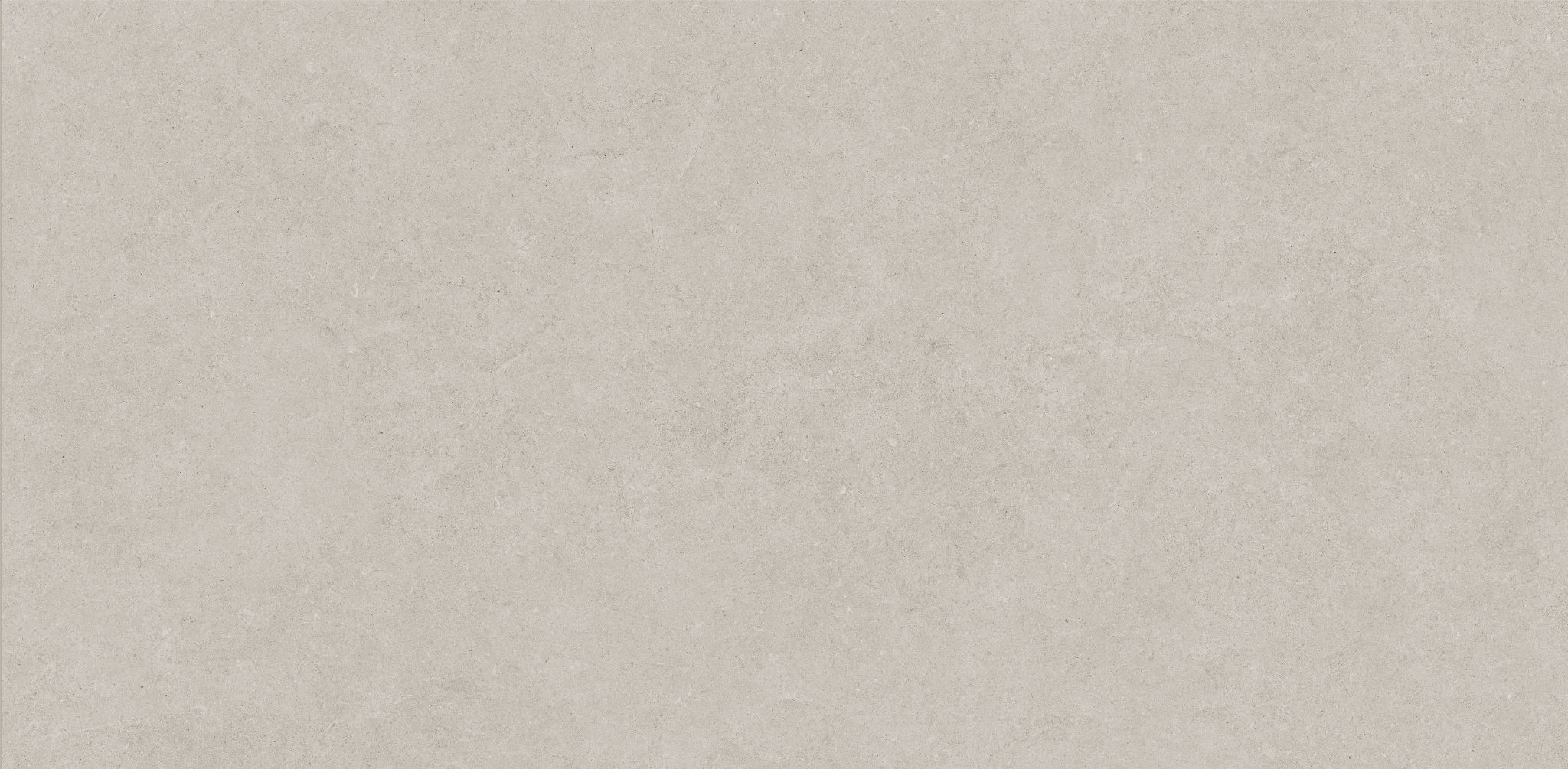 Lithoform 24X48 Crosscut Coast | Roma Tile NY