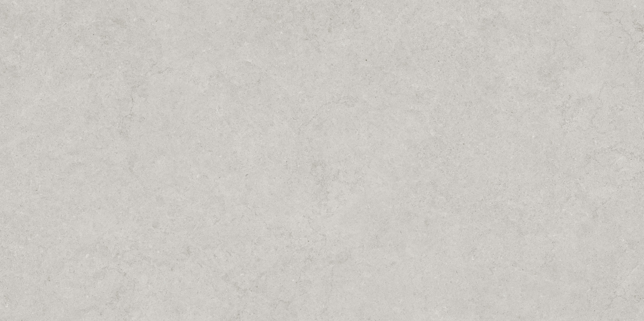 Lithoform 24X48 Crosscut Vista | Roma Tile NY