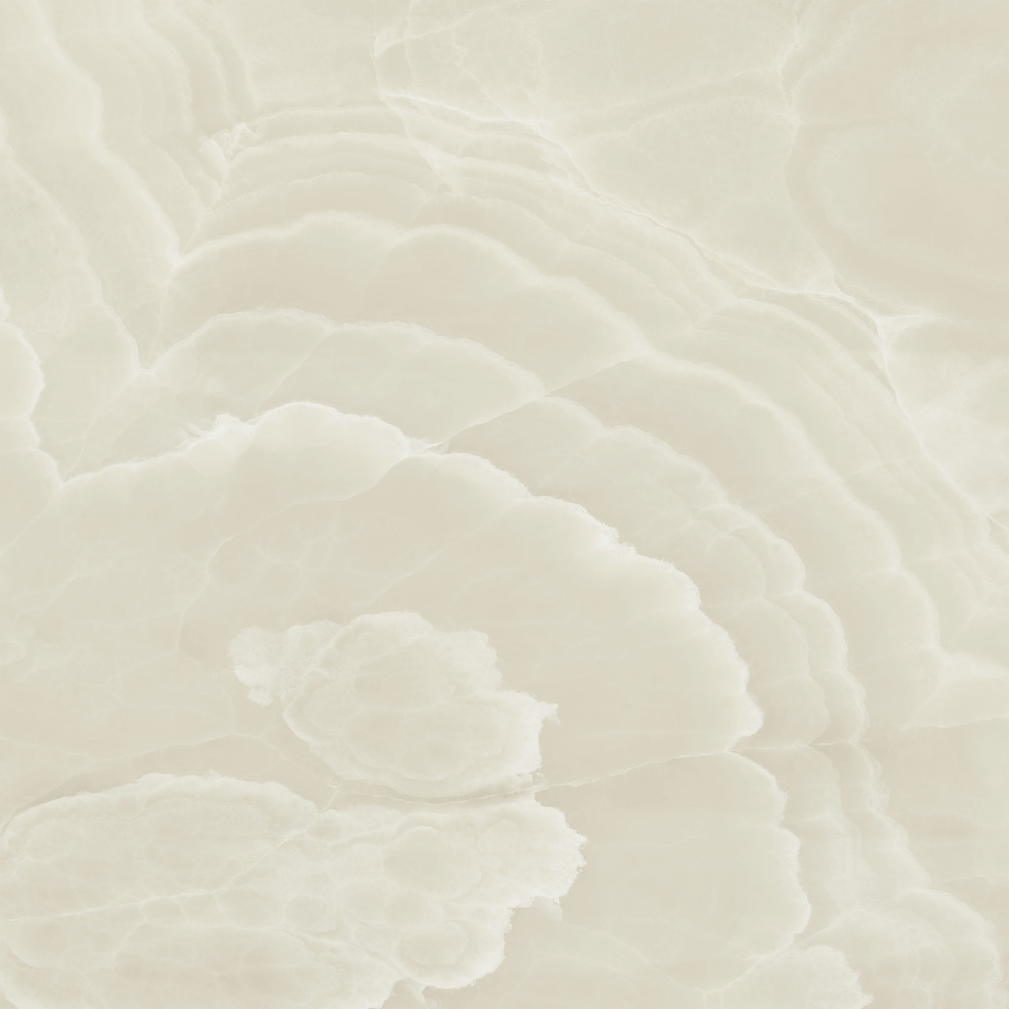 Lustra 48x48 Onyx Crema Honed | Roma Tile NY