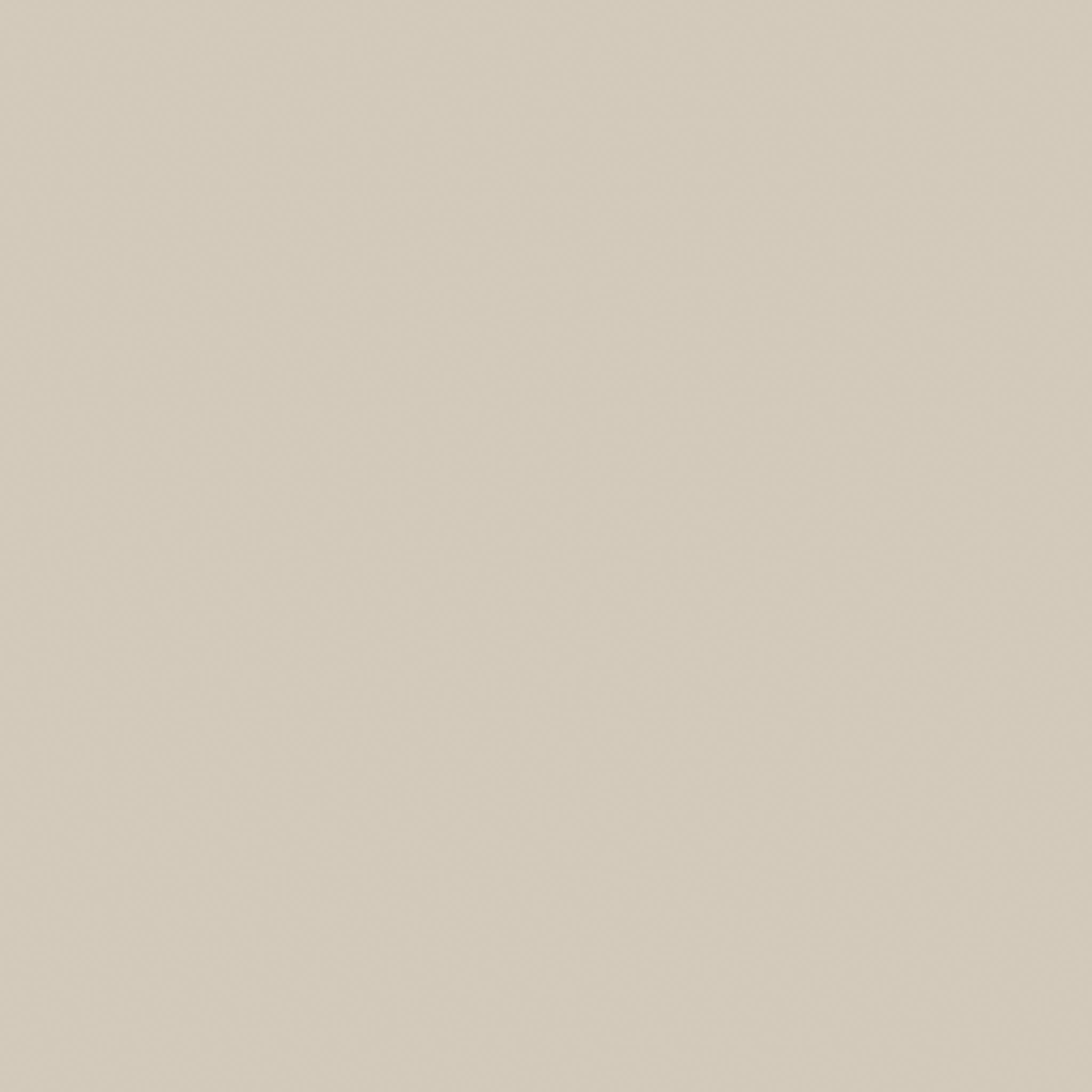 Monoforma 48x48 Oasis Polished | Roma Tile NY