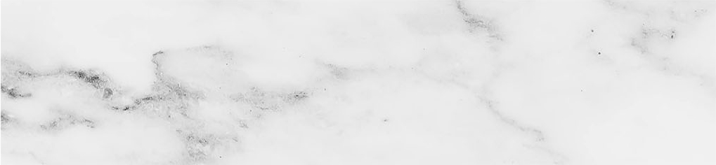 Obsession 2.5x10 Carrara | Roma Tile NY