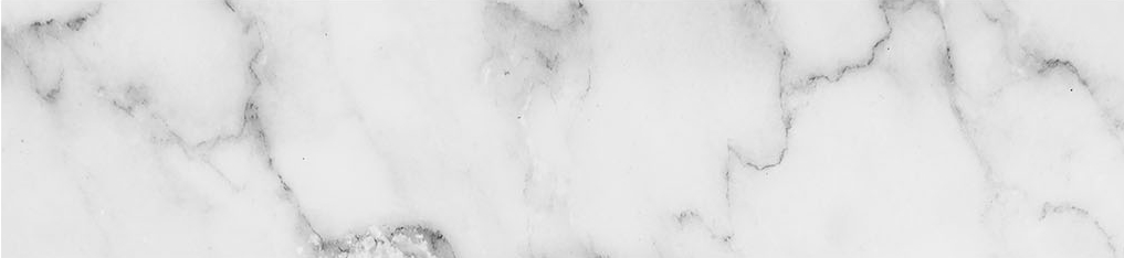 Obsession 2.5x10 Carrara | Roma Tile NY