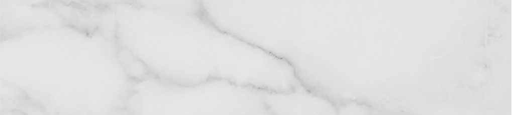 Obsession 2.5x10 Carrara | Roma Tile NY