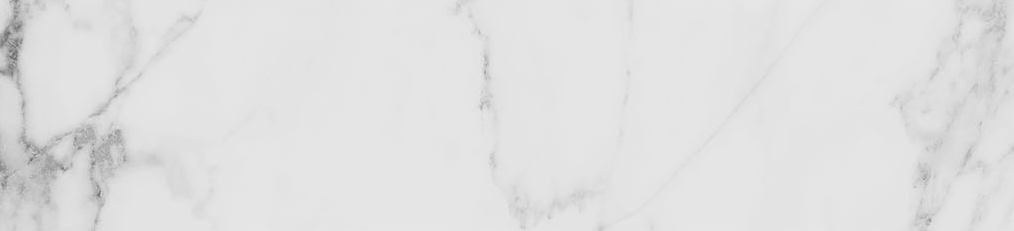 Obsession 2.5x10 Carrara | Roma Tile NY
