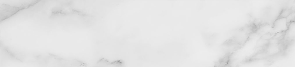 Obsession 2.5x10 Carrara | Roma Tile NY