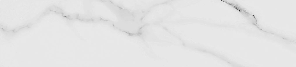 Obsession 2.5x10 Carrara | Roma Tile NY