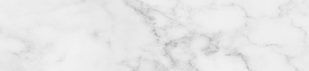 Obsession 2.5x10 Carrara | Roma Tile NY