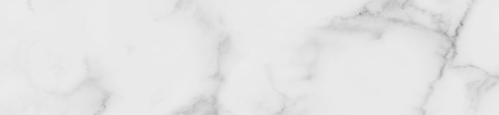Obsession 2.5x10 Carrara | Roma Tile NY