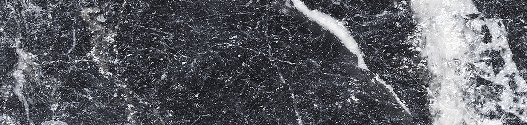 Obsession 2.5x10 Nero | Roma Tile NY
