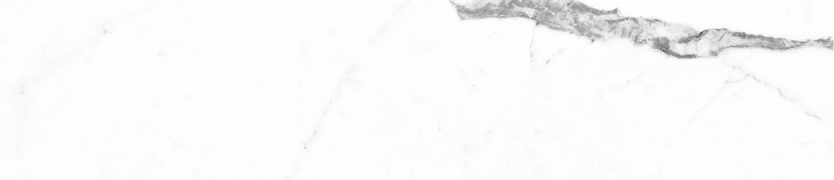 Obsession 2.5x10 Statuario | Roma Tile NY