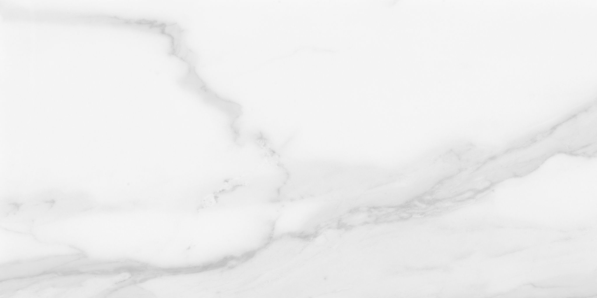 Plata 12x24 Statuario Brina Polished | Roma Tile NY