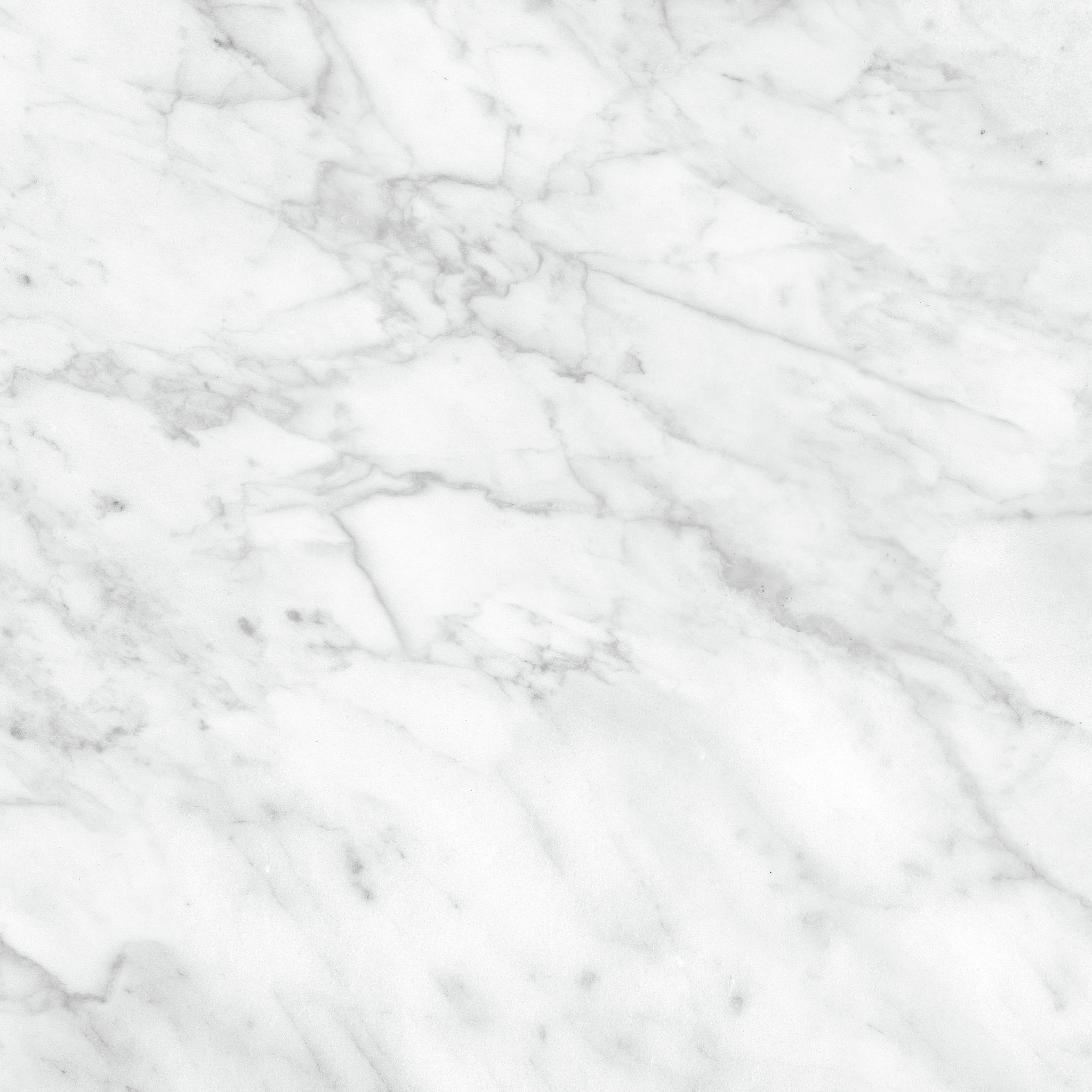 Plata 24x24 Carrara Abisso Polished | Roma Tile NY