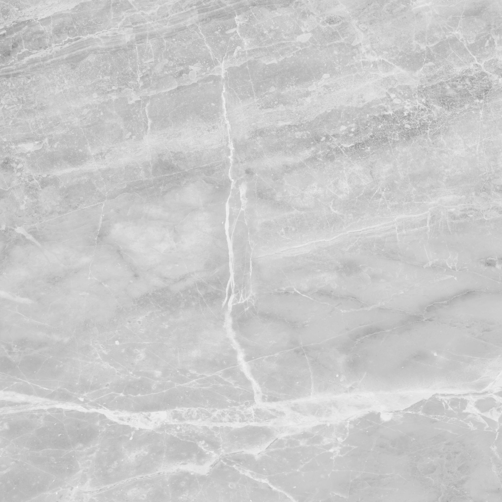 Plata 24x24 Perla Grigia Polished | Roma Tile NY