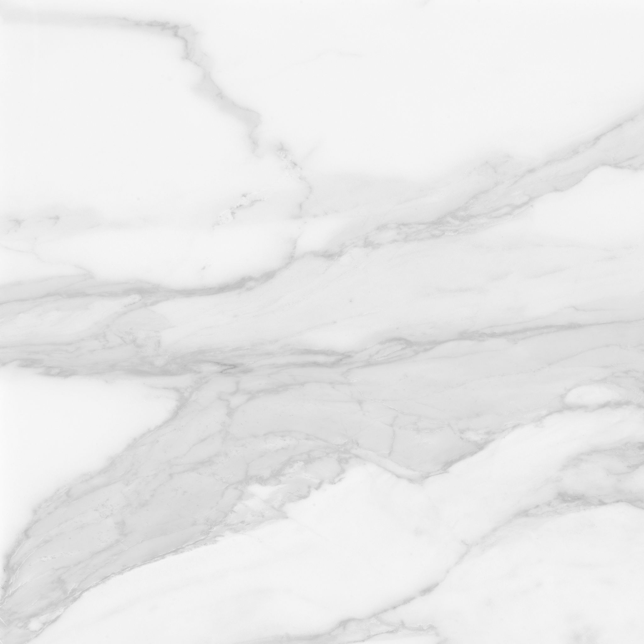 Plata 24x24 Statuario Brina Matte | Roma Tile NY
