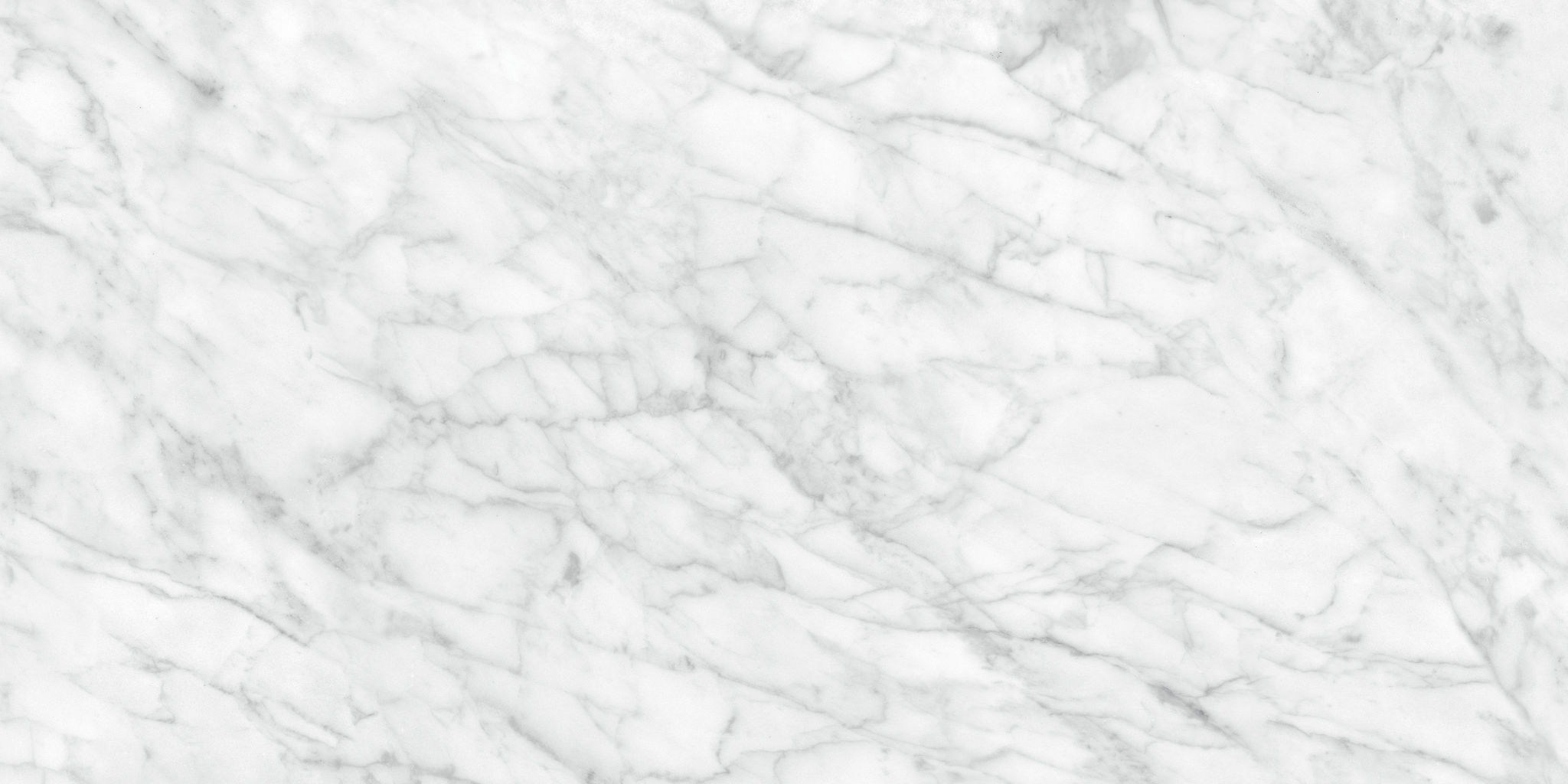 Plata 24x48 Carrara Abisso Matte | Roma Tile NY