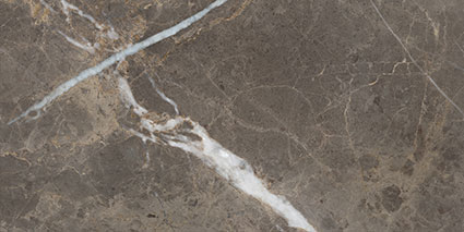 Royal Stoneworks 12X24 Regal Brown Marble Vintage | Roma Tile NY