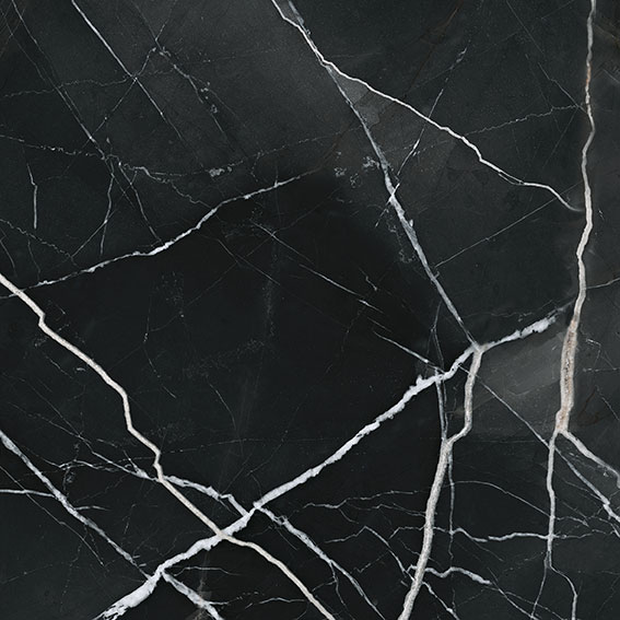Royal Stoneworks 24X24 Regal Black Vein Polished | Roma Tile NY