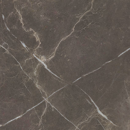 Royal Stoneworks 24X24 Regal Brown Marble Honed | Roma Tile NY