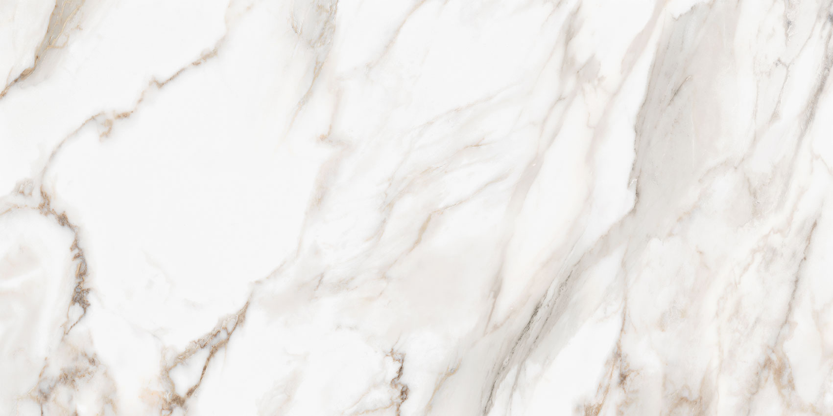 Royal Stoneworks 24X48 Calacatta Royale Polished | Roma Tile NY
