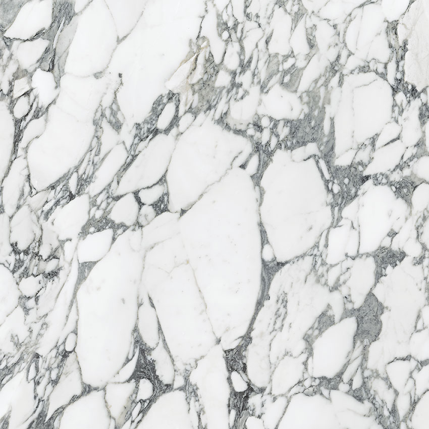 Royal Stoneworks 36X36 Italian Arabescato Honed | Roma Tile NY
