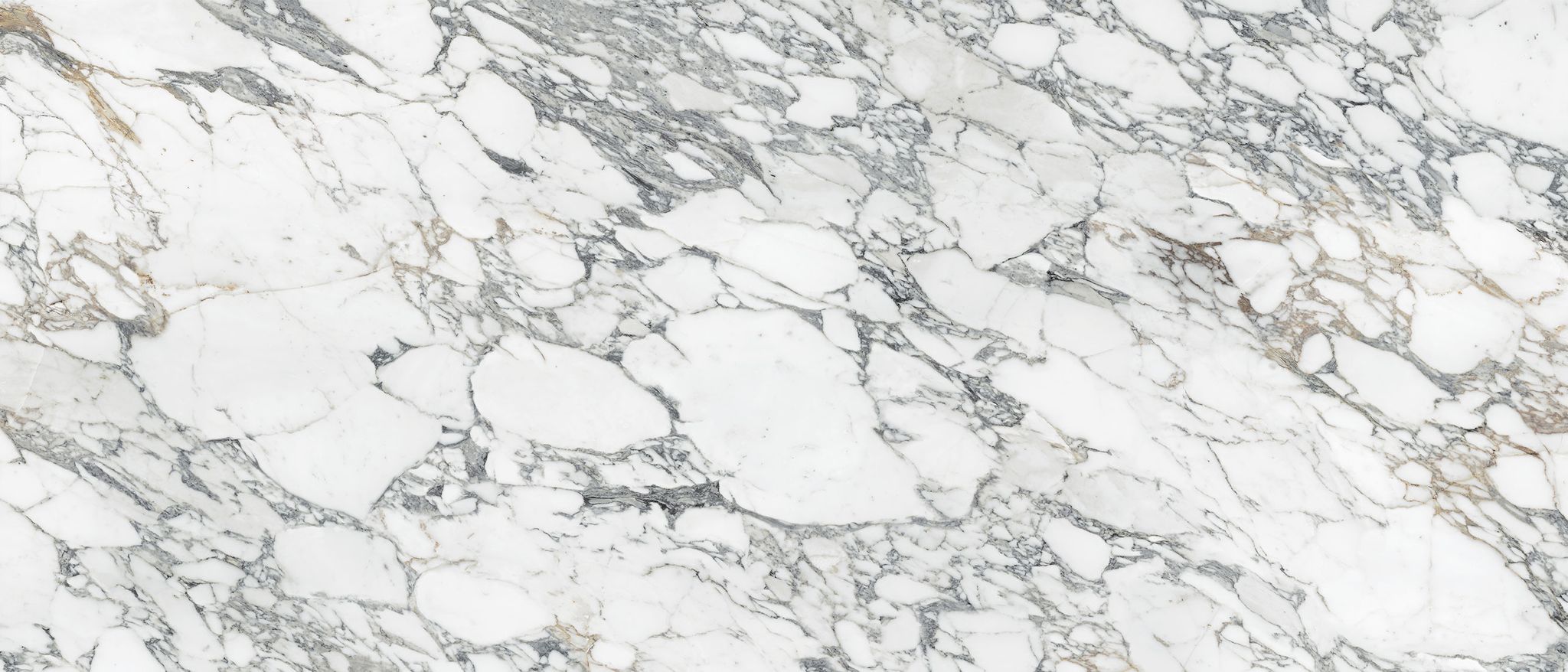 Royal Stoneworks 48X110 Italian Arabescato Polished | Roma Tile NY