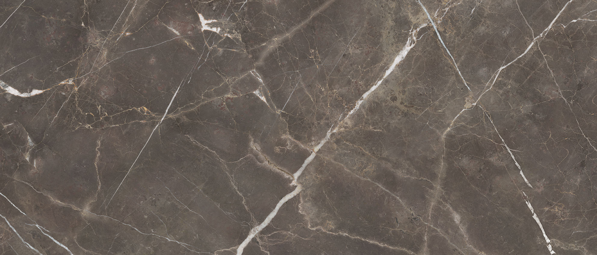 Royal Stoneworks 48X110 Regal Brown Marble Honed | Roma Tile NY