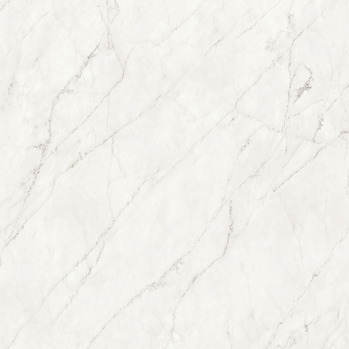 Royal Stoneworks 48X48 Cloudstone White Polished | Roma Tile NY