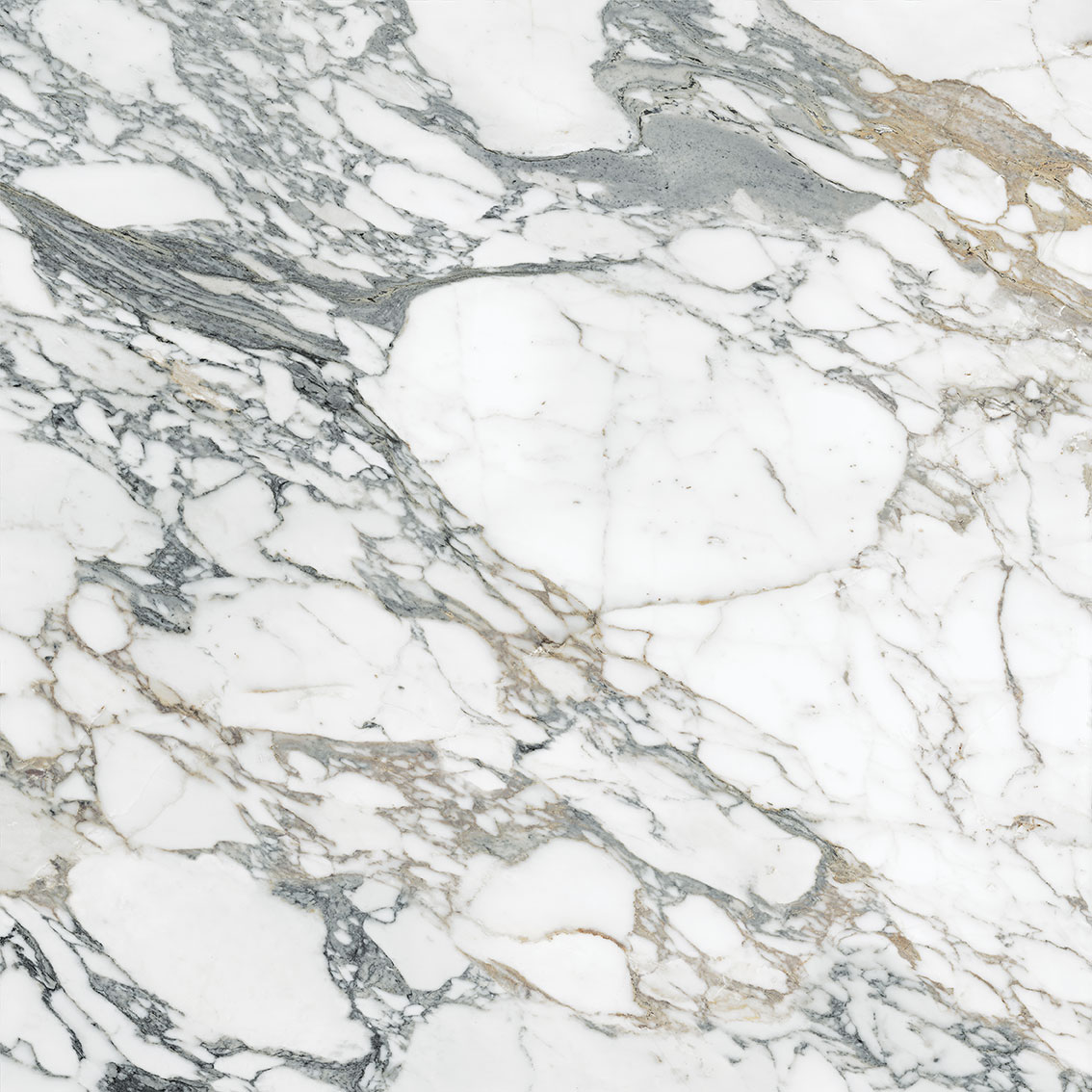 Royal Stoneworks 48X48 Italian Arabescato Polished | Roma Tile NY