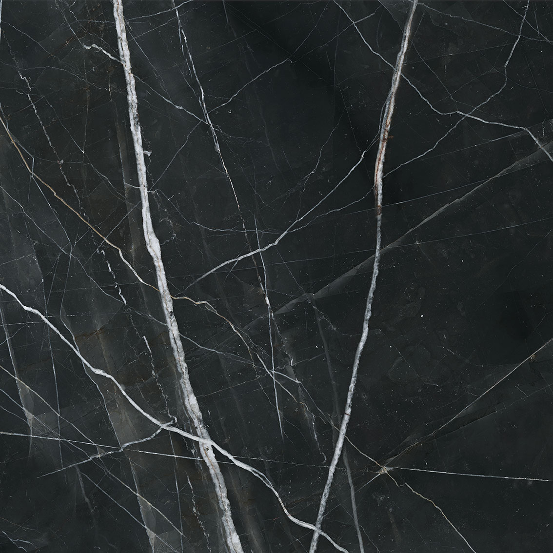 Royal Stoneworks 48X48 Regal Black Vein Honed | Roma Tile NY