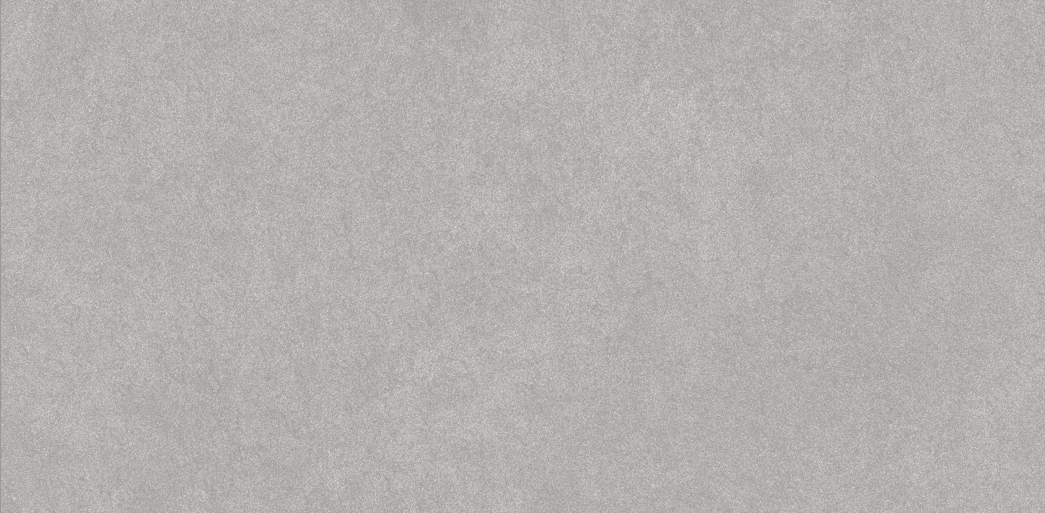 Serena 24X48 Shale | Roma Tile NY