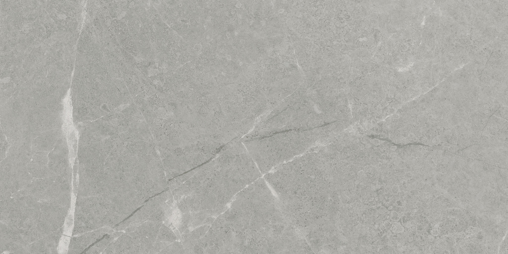 Torino 12x24 Argento | Roma Tile NY