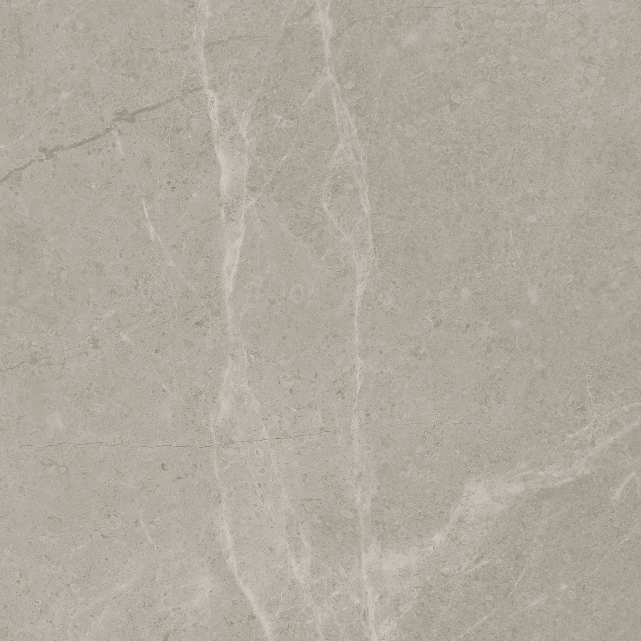 Torino 13x13 Vanizio | Roma Tile NY